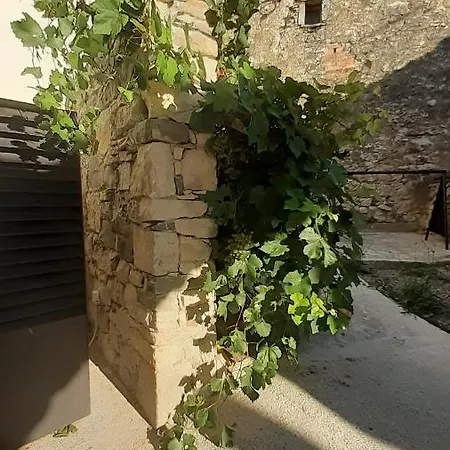 Fine Rooms Vipava Exterior photo