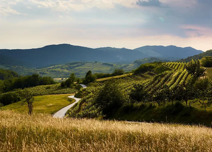 Fine Rooms Vipava