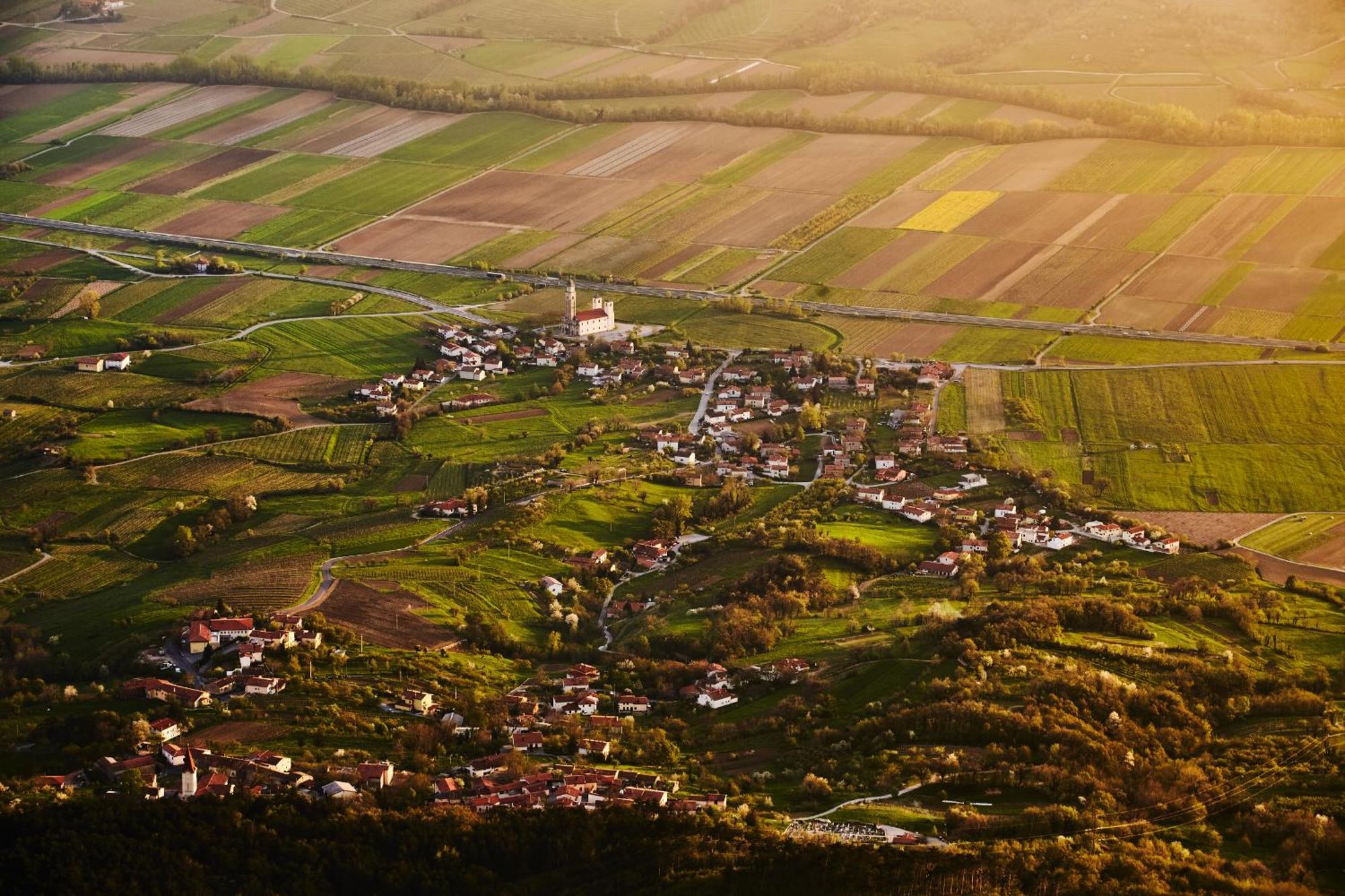 Fine * Vipava